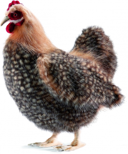 Huhn braun 45 cm